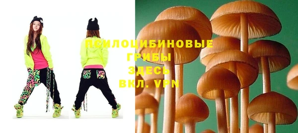 ГАЛЛЮЦИНОГЕННЫЕ ГРИБЫ Абаза