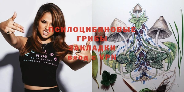 ГАЛЛЮЦИНОГЕННЫЕ ГРИБЫ Абаза