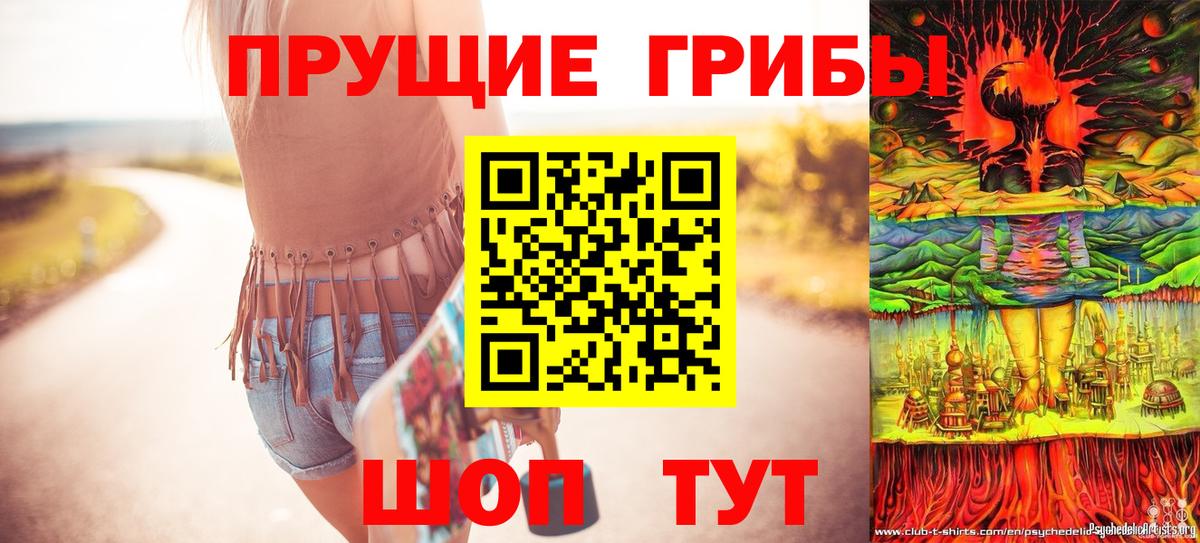 Ивантеевка  Галлюциногенные грибы ЛСД  Вход с VPN 