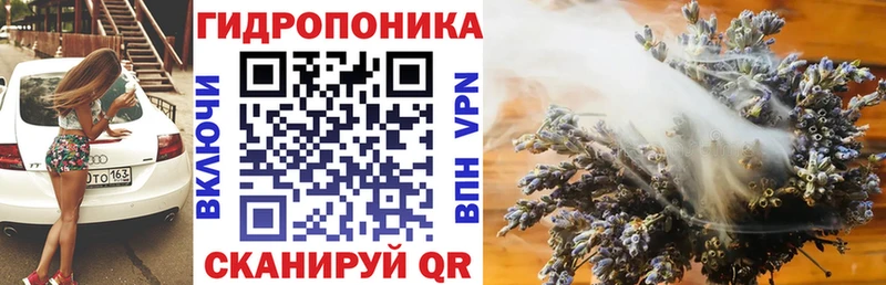 Бошки марихуана White Widow цены наркотик Ивантеевка
